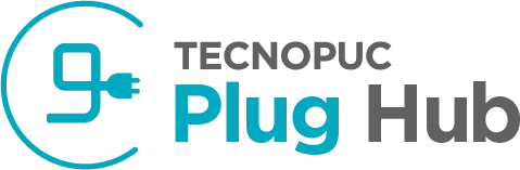 Plug